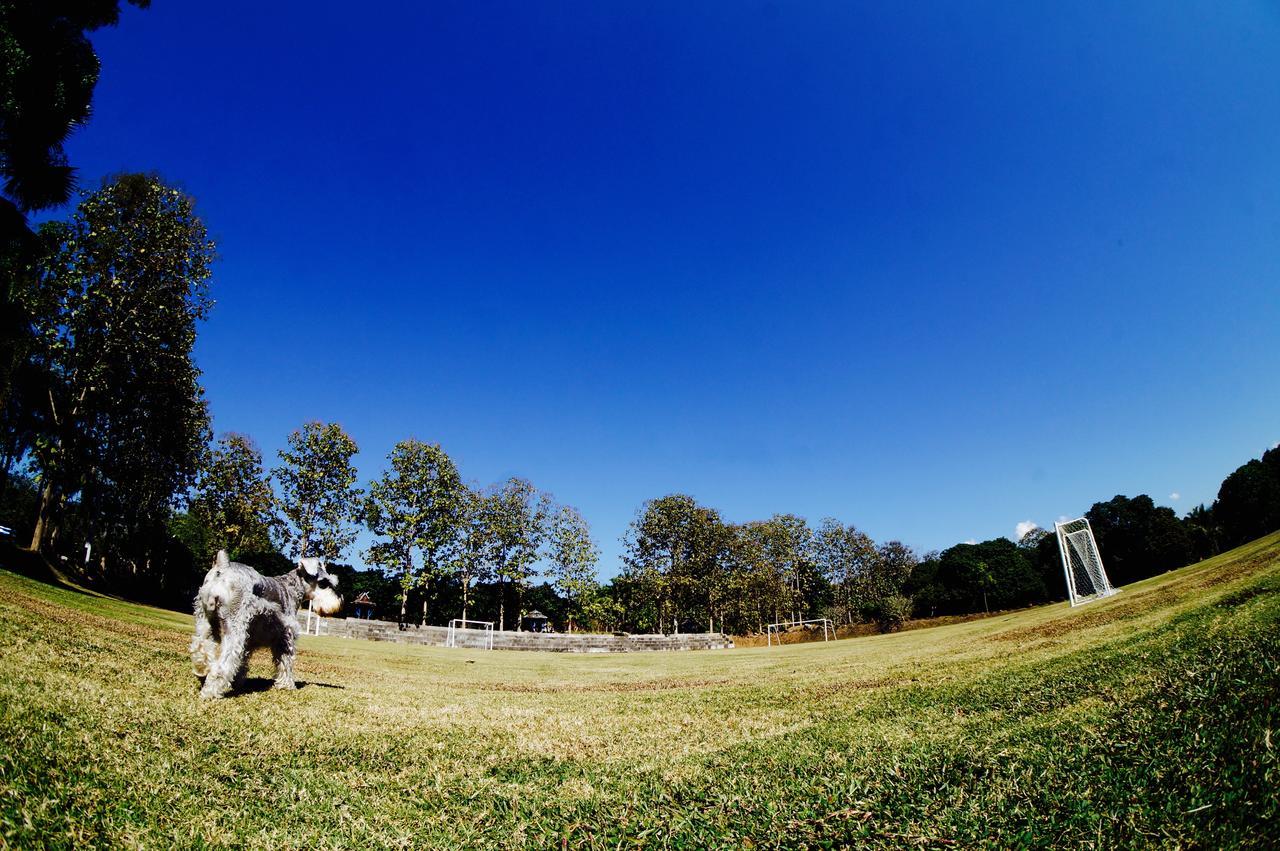 The Teak Resort Chiangdao Чіанґдау Екстер'єр фото